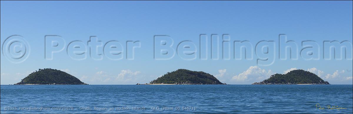 Peter Bellingham Photography Smith, Bowen an Hudson Islands - QLD (PBH4 00 14671)